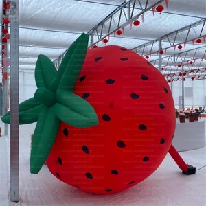 <span class=keywords><strong>Fraise</strong></span> géante gonflable surdimensionnée, réaliste, pour festival <span class=keywords><strong>de</strong></span> la récolte, activation <span class=keywords><strong>de</strong></span> marque, affichage en supermarché, fête - Product Image 3