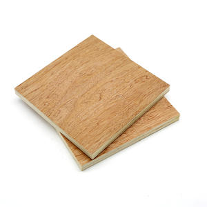 Feuilles de <span class=keywords><strong>contreplaqué</strong></span> de bouleau écologiques commerciales professionnelles 4x8 <span class=keywords><strong>contreplaqué</strong></span> bon marché de qualité meuble moderne de 3mm <span class=keywords><strong>5mm</strong></span> pour hôtels villas - Product Image 2