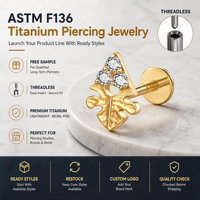 Bijoux de piercing corporel en titane de qualité implant ASTM F136 16G avec zircone cubique pour labret, hélix, tragus, lèvre