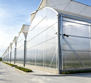 Commercial Twin Wall Polycarbonate Greenhouse Heavy Duty Galvanized Steel Frame Vertical Agriculture Growing Facility - Product Image 1