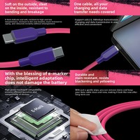 Gel de Silicona de Textura Fina y Color Degradado para Cable de Carga Compatible con iPhone 15/16 y Dispositivos Android