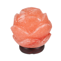 Lampe de sel rose de l'Himalaya sculptée à la main Tahir Gems, artisanat naturel avec couleur personnalisée pour la maison, le bureau ou la décoration de fêtes - Vente flash