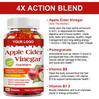 Gummies au vinaigre de cidre de pomme végétaliennes pour la détox cétogène et le soutien digestif, favorisant un ventre plat – Produits amincissants à marque privée, très demandés