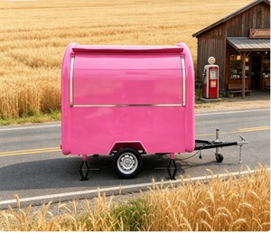 Chariot de vente ambulante pour hot-dogs et glaces, camion-restaurant, remorque de restauration entièrement équipée, cuisine mobile, restaurant itinérant - Product Image 1