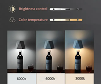 Veilleuse LED à contrôle tactile USB rechargeable Luminosité à 3 niveaux pour dîner de fête de bar décoratif