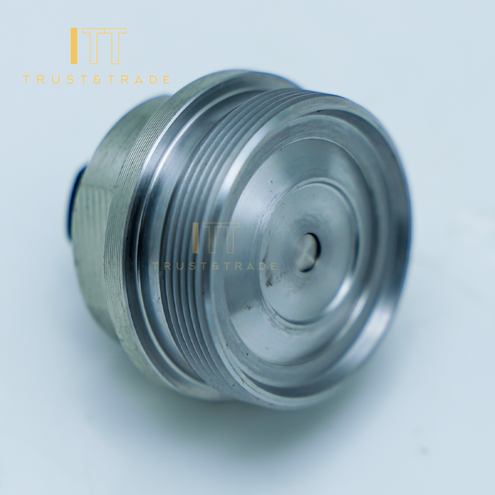 High Speed Steel 2463452001 Engine Fuel Pump Small Screw Plug For なっつ様専用