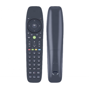 霍斯特朗工厂OEM ODM遥控器，适用于DEXP Palsonic- Frego Ztrust Goldsky Gazal Myros X视觉电视支持定制 - Product Image 1