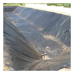 Géomembrane HDPE imperméable et résistante aux UV pour l'agriculture, l'aquaculture, les lagons à boues, les barrages et les étangs - Product Image 5