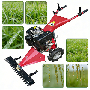 Desbrozadora de Empuje Orchard con Motor Diésel de 247cc y 5.2HP, Ancho Ajustable de 80-120cm, Neumáticos Sólidos para Viñedos - Product Image 1