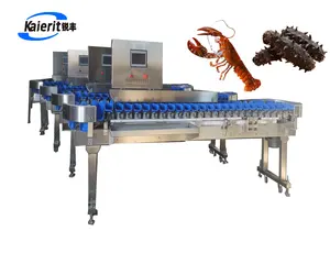 Prawn grader washing machine Seafood shrimp size classifier Prawn grader and grading machine