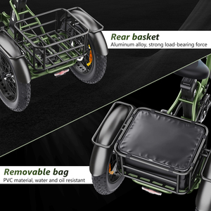 VIPCOO Hidoes ET1 750W Chine Tricycle électrique à 3 roues pour adultes pas cher Cargo - Product Image 3