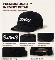 Fabricant de casquettes de baseball personnalisées, casquette à 6 panneaux avec visière incurvée, 100% coton, OEM ODM, usine, fournisseur de casquettes à marque privée