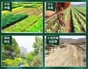 Polvo <span class=keywords><strong>de</strong></span> Hidrogel Biodegradable <span class=keywords><strong>de</strong></span> Poliacrilato <span class=keywords><strong>de</strong></span> Potasio, Savia <span class=keywords><strong>de</strong></span> <span class=keywords><strong>Abedul</strong></span>, Súper Absorbente - Product Image 6