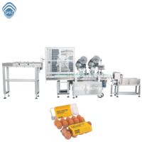 Boîte à œufs en plastique, boîte à clapet, distributeur automatique pour machine d'étiquetage