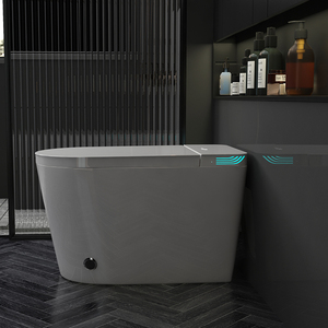 Thông Minh Một Mảnh Thông Minh Bidet WC Kéo Dài Bát Sàn Gắn Nhà Vệ Sinh Điều Khiển Từ Xa Giấu Xe Tăng Ghế Sưởi Ấm Dual-Flush - Product Image 2