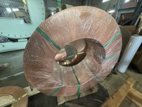 Vente directe d'usine, plaque en cuivre pur rouge C1100 non allié, haute résistance 205-265MPa, 99,9% Cu, pour utilisation dans les équipements électriques
