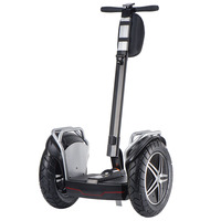 Original Fabrik Segways Selbstbalancierender 18-Zoll-Pneumatik-Aluminiumlegierung Zweirad-Elektroroller Bürstenloser Motor Lithium-Ionen IP56