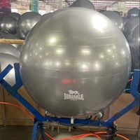 Ballon de yoga en PVC écologique pour usage domestique avec pompe, gonflable et souple, 75 cm, pour exercices de yoga