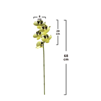 5 têtes d'orchidées artificielles en EVA pour la décoration de mariage et de la maison, accessoires écologiques pour la photographie de mariage