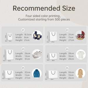 Sac en papier de luxe personnalisé avec poignée, durable, pour le shopping professionnel, emballage classique - Cadeau spécial, sac d'emballage en papier spécial - Product Image 4