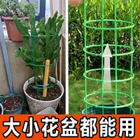 DIHAO Support universel en plastique pour plantes grimpantes, idéal pour la cour
