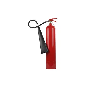 Safewayfire customized logo 2kg 3kg 6kg CO2 Fire Extinguisher for Indonesia market