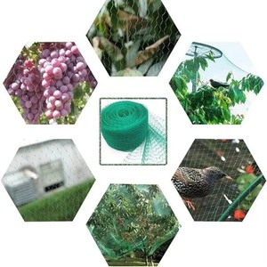 Filet anti-oiseaux en polyéthylène vert pour clôture, jardin, vigne, arbre à raisin et protection des arbres - Product Image 2