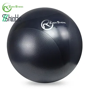 Exercise Ball Zhensheng Custom Anti Burst Balance Ball Exercise Stability Fitness Yoga Ball