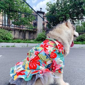 Oggy y ititty Butterfly owowknot RESS para Eddy, ichon, Laska, Golden trietriever, amamoyed-dordorable - Product Image 6