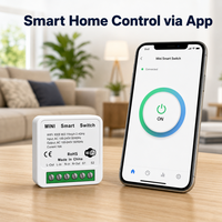 Interrupteur intelligent WiFi Tuya 16A 2 voies, commande vocale via application Zigbee, mini-relais intelligent pour la maison, minuterie compatible Ewelink