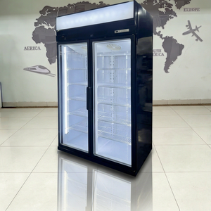 Congélateur vertical à porte vitrée ventilée à 2 portes, à économie d'énergie, pour supermarché, pour viande congelée - Product Image 2