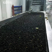 Premium kwaliteit voor gezondheidsbewuste/zoete tropische exotische fruitgroothandel, directe export, fabrieksprijs, verse diepvries zwarte bessen