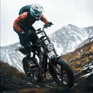 R002 Solución <span class=keywords><strong>de</strong></span> Movilidad Moderna, Bicicleta Eléctrica Desmontable <span class=keywords><strong>de</strong></span> 48V 250W con Neumáticos Gruesos <span class=keywords><strong>de</strong></span> 20 Pulgadas, Asistencia al Pedaleo, 60 km <span class=keywords><strong>de</strong></span> Autonomía, Digital Electrónico - Product Image 6