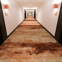 Tapis commercial moderne de luxe imprimé en nylon de cinéma de mur de mur de hall de couloir d'hôtel de théâtre