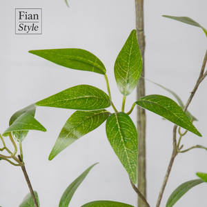 FONG IAN grosir daun Osmanthus dengan Pot hidup hijau Natal pernikahan dekorasi dalam ruangan untuk pintu masuk rumah kantor - Product Image 4