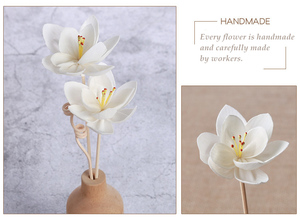 Newell Mây Garland Hệ Thống Bán Buôn Ngoài Trời Chất Lượng Tuyệt Vời Phòng Thơm Sậy Khuếch Tán Với Hoa Năng Lượng Mặt Trời - Product Image 4