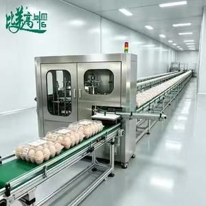 360 °   Machine de Scannage Intégral des Œufs avec Détection des Défauts de Coquille et Inspection des Étiquettes pour les Lignes d'Emballage des Œufs - Product Image 3