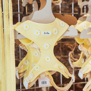 Arnés de Lujo para Perros SinSky Create, Collar de Adiestramiento para Perros con Logotipo y Correa, Arnés de Servicio para Perros - Product Image 2