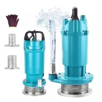 Pompe submersible électrique en acier inoxydable 110v127v QDX Eau propre Petite pompe à eau de puits à haute levée pour usage domestique Fabriquée en Chine
