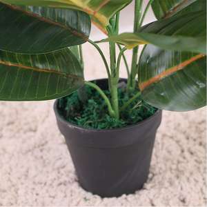 JIAWEI Vraie Touche Plante Artificielle Arbres Fleurs Bouquet Décoratif <span class=keywords><strong>Frangipanier</strong></span> Plante Décoration Artificielle Herbe Fleur Arbres - Product Image 6