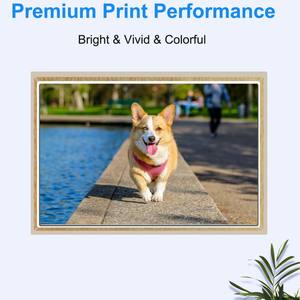 MANTIS 兼容 HP 63/63XL 墨盒可填充式 CMYK 颜色 12 个月保修芯片 100% 兼容 HP 1110 4650 2131 - Product Image 5