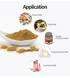 <span class=keywords><strong>Ginkgo</strong></span> Biloba lá chiết xuất <span class=keywords><strong>Ginkgo</strong></span> flavonoid 24% 6% lactone hòa tan trong nước <span class=keywords><strong>Ginkgo</strong></span> Biloba bột - Product Image 2