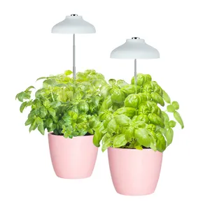 J & C Minijardim Charloe-guarda-chuva Branco mini kit erva cresce cresce a luz interior levou cresce a luz