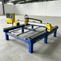 Découpeur plasma portable facile à utiliser, machine de découpe industrielle du métal avec des performances stables