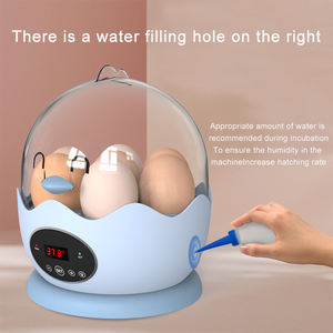 Économie d'énergie, faible puissance, réduction de bruit, Mini incubateur d'œufs entièrement automatique - Product Image 6