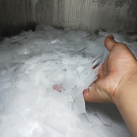 Machine à glace en flocons de 500 kg en acier inoxydable 304 China Baopin pour la pêche