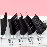 Extensions de cils en gros, effet volume éventail rapide et facile, cils auto-éventailants effet naturel
