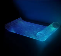 Film d'affichage à LED de pixel de 6mm avec la haute résolution pour le signage de Digital de centre commercial