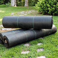 Rouleau de couverture de sol en tissu paysager Anti-Weed Grass Plastic Mesh Control Weed Mat