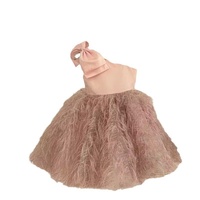 Einschultriges Abendkleid Formelles Sommer-Mädchenkleid aus Mesh-Tüll mit Pailletten, Quasten und Federn Prinzessinnen-Trägerkleid Ärmellos